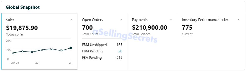 Global Snapshot showing 19,875 dollars today and 700 open orders